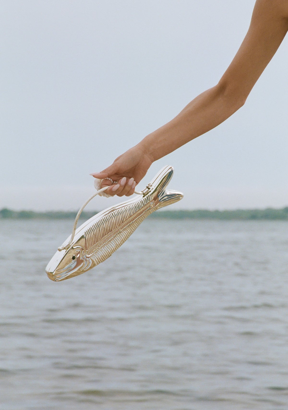 Gold Fishy Cobalt